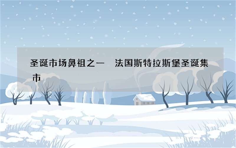 圣诞市场鼻祖之一 法国斯特拉斯堡圣诞集市